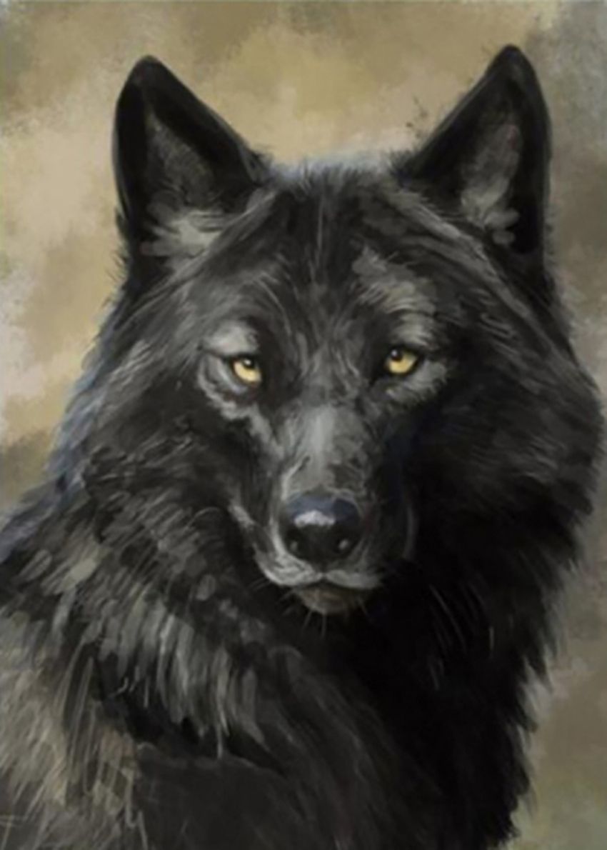 Diamond Painting Vollbild 50x70 mit runden Steinen