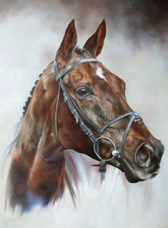 Diamond Painting Vollbild 50x70 mit runden Steinen Diamond Painting Vollbild 50x70 mit runden Steinen