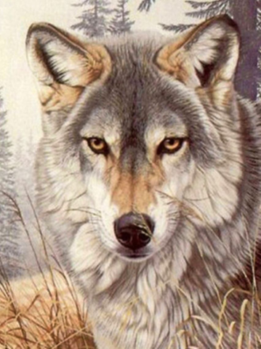 Diamond Painting Vollbild 50x70 mit runden Steinen Diamond Painting Vollbild 50x70 mit runden Steinen