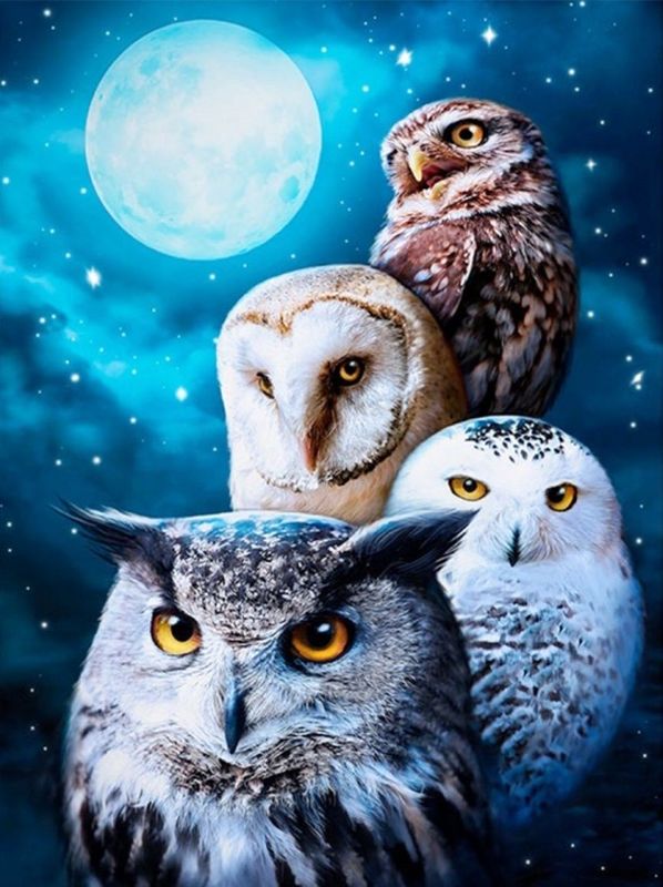 Diamond Painting Vollbild 50x70 mit runden Steinen Diamond Painting Vollbild 50x70 mit runden Steinen