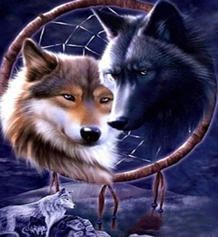 Diamond Painting Vollbild 50x70 mit runden Steinen Diamond Painting Vollbild 50x70 mit runden Steinen