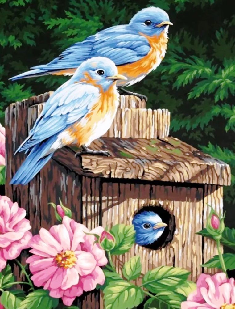 Diamond Painting Vollbild 50x70 mit runden Steinen