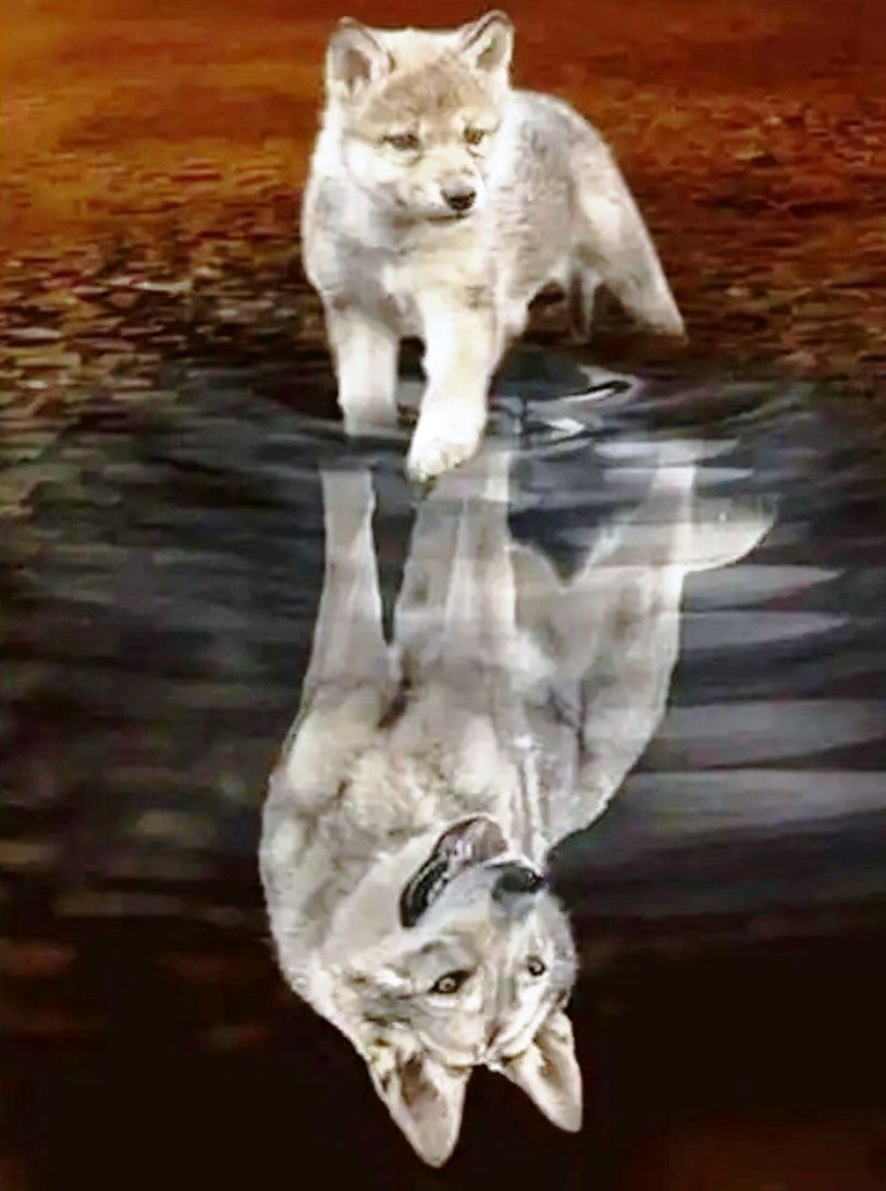 Diamond Painting Vollbild 50x70 mit runden Steinen Diamond Painting Vollbild 50x70 mit runden Steinen