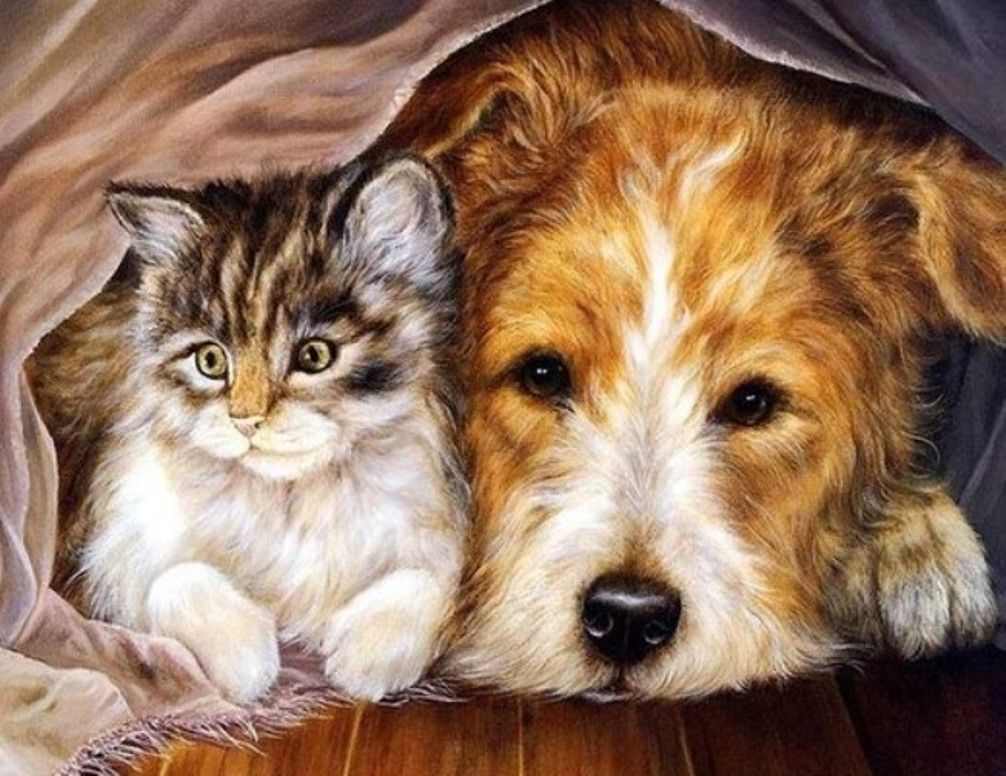 Diamond Painting Vollbild 50x70 mit runden Steinen Diamond Painting Vollbild 50x70 mit runden Steinen