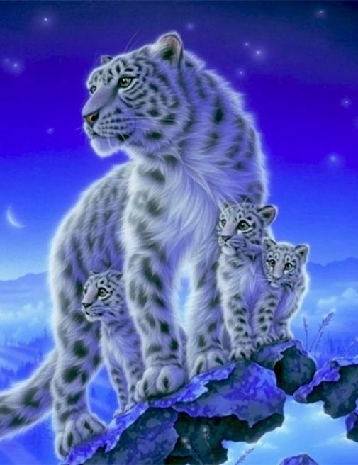 Diamond Painting Vollbild 50x70 mit eckigen Steinen Diamond Painting Vollbild 50x70 mit eckigen Steinen