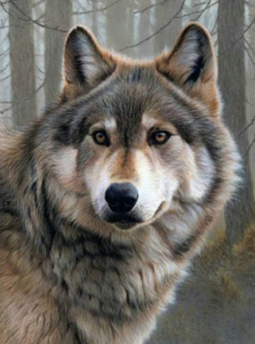 Diamond Painting Vollbild 50x70 mit eckigen Steinen Diamond Painting Vollbild 50x70 mit eckigen Steinen