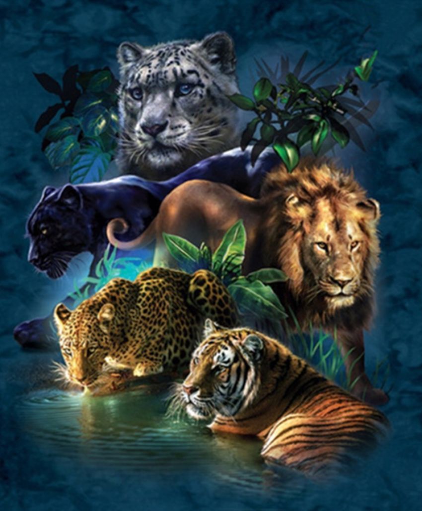 Diamond Painting Vollbild 50x70 mit eckigen Steinen Diamond Painting Vollbild 50x70 mit eckigen Steinen