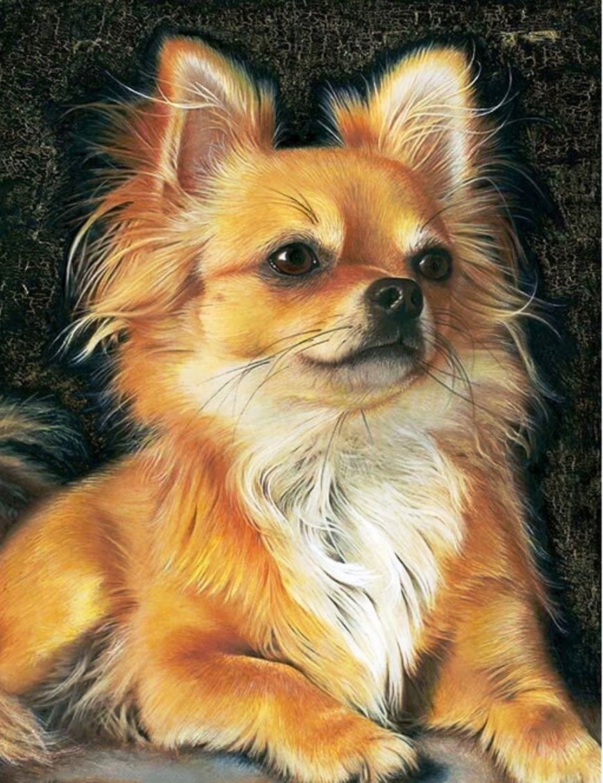 Diamond Painting Vollbild 50x70 mit eckigen Steinen Diamond Painting Vollbild 50x70 mit eckigen Steinen
