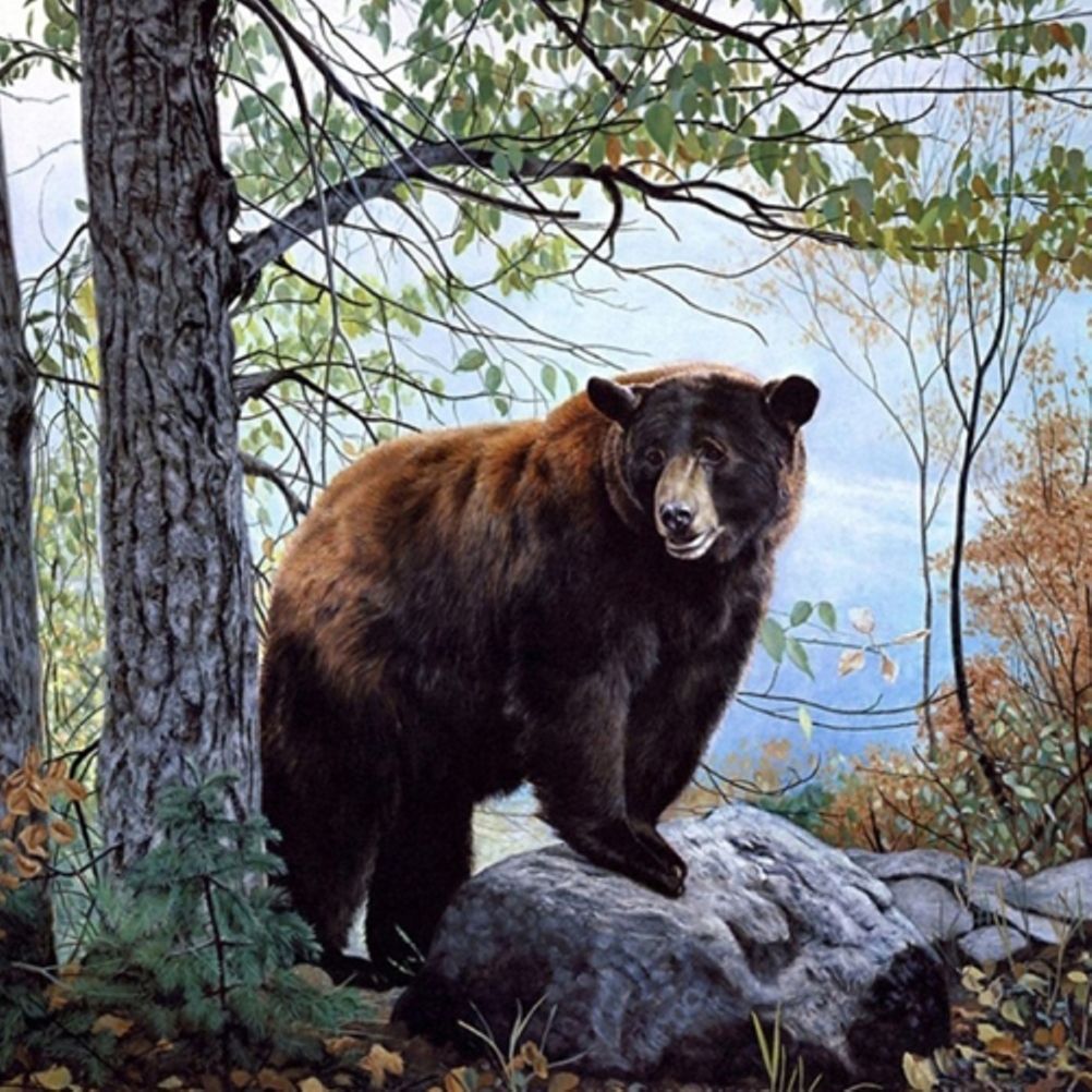 Diamond Painting Vollbild 50x70 mit eckigen Steinen
