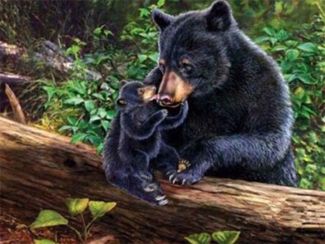 Diamond Painting Vollbild 50x70 mit eckigen Steinen Diamond Painting Vollbild 50x70 mit eckigen Steinen