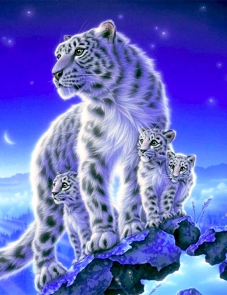Diamond Painting Vollbild 50x70 mit eckigen Steinen Diamond Painting Vollbild 50x70 mit eckigen Steinen