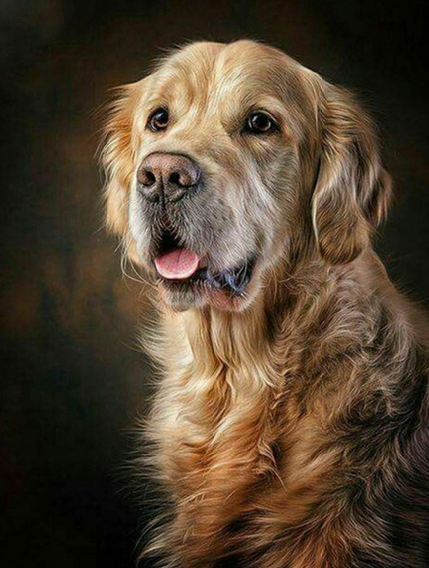 Diamond Painting Vollbild 50x70 mit eckigen Steinen Diamond Painting Vollbild 50x70 mit eckigen Steinen