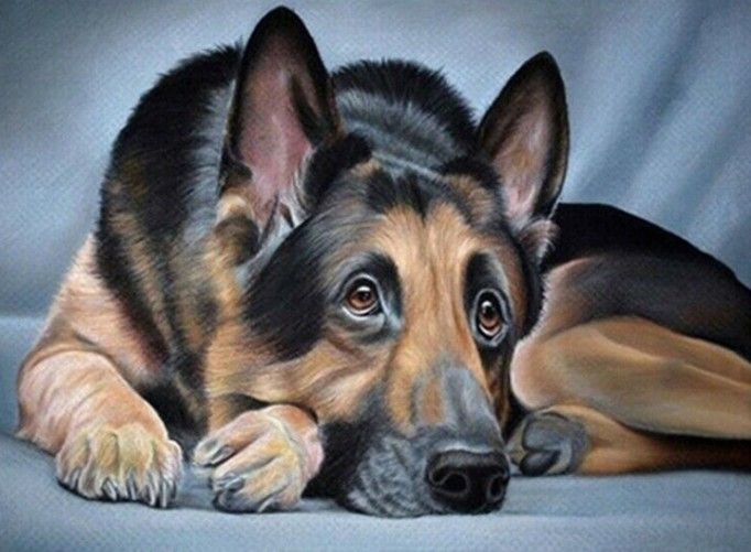 Diamond Painting Vollbild 50x70 mit eckigen Steinen Diamond Painting Vollbild 50x70 mit eckigen Steinen