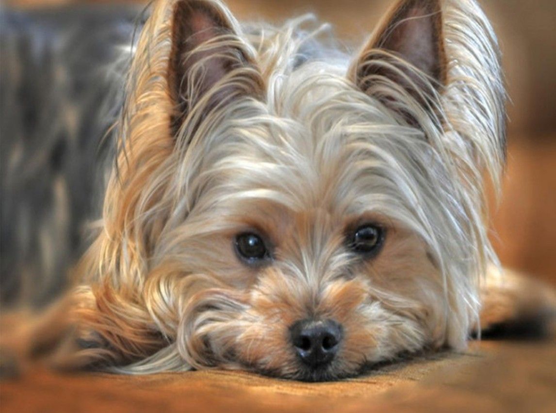 Diamond Painting Vollbild 50x70 mit eckigen Steinen Diamond Painting Vollbild 50x70 mit eckigen Steinen