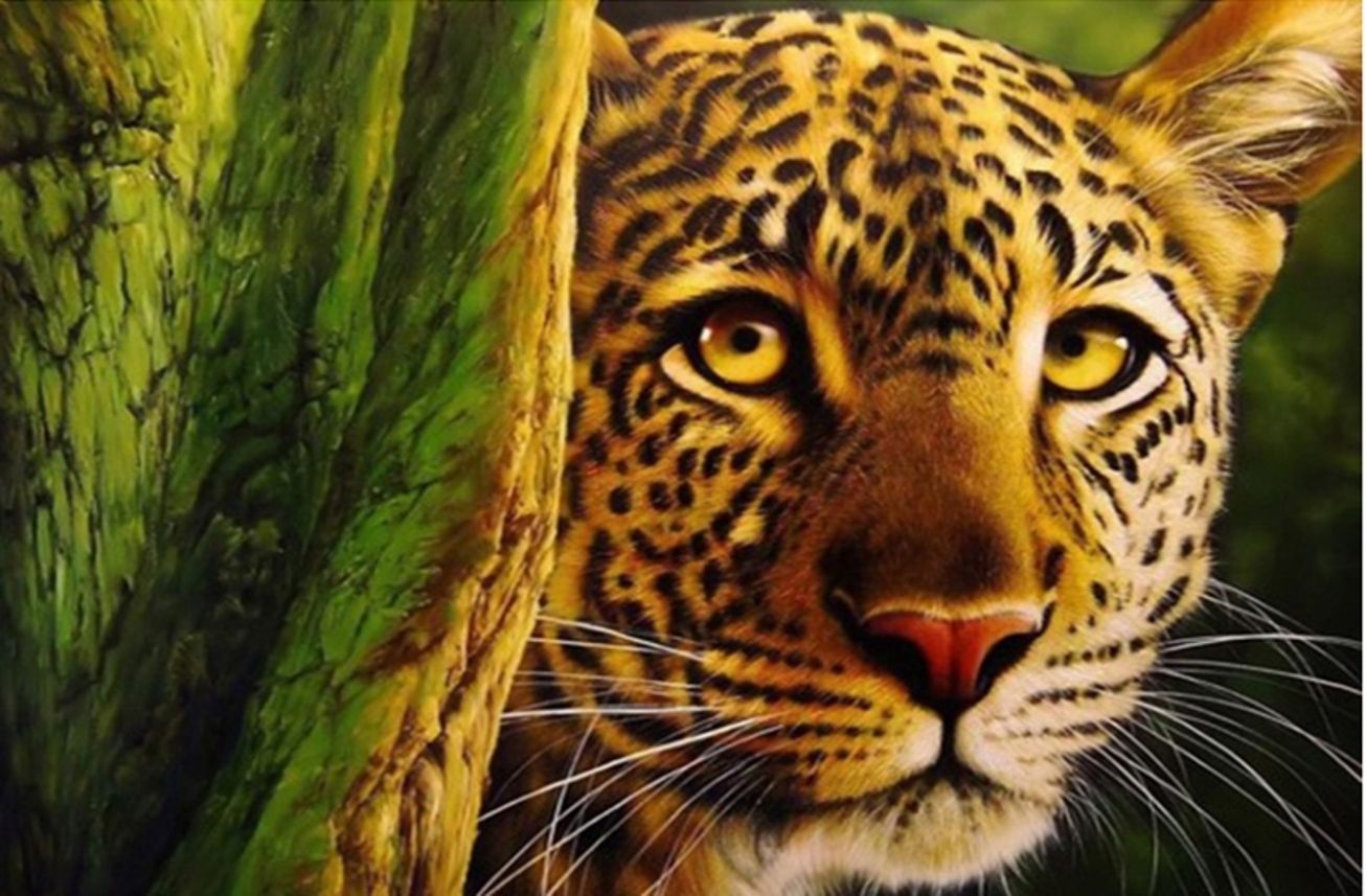 Diamond Painting Vollbild 50x70 mit eckigen Steinen Diamond Painting Vollbild 50x70 mit eckigen Steinen
