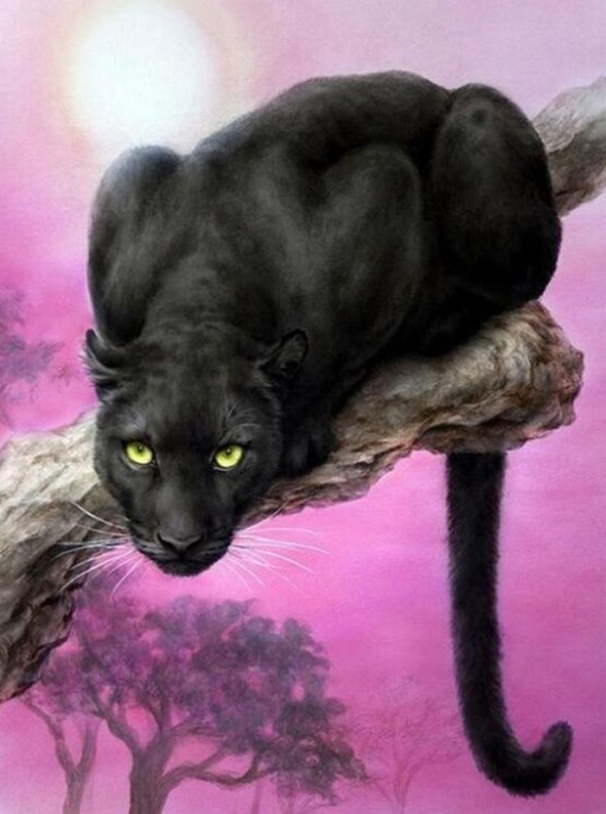 Diamond Painting Vollbild 50x70 mit eckigen Steinen Diamond Painting Vollbild 50x70 mit eckigen Steinen