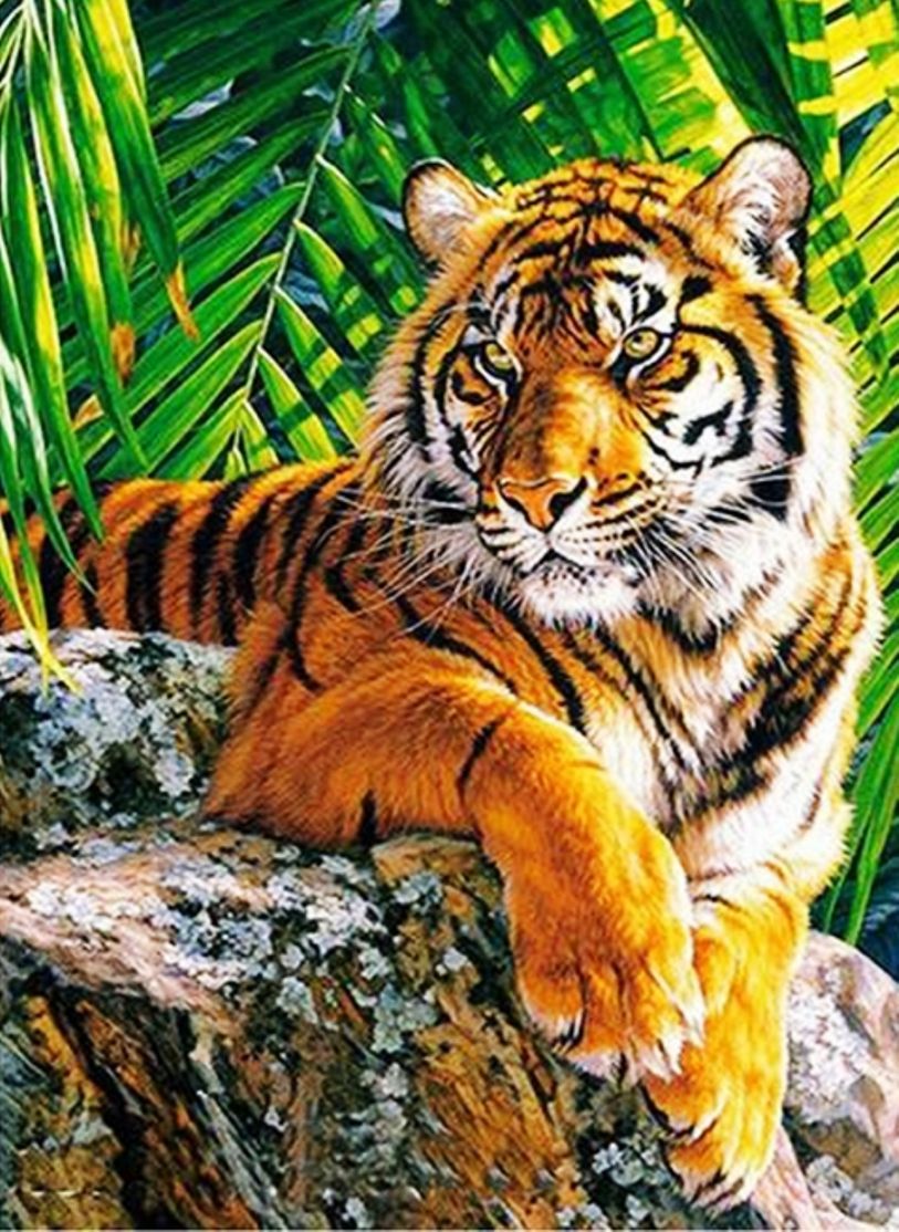 Diamond Painting Vollbild 50x70 mit eckigen Steinen Diamond Painting Vollbild 50x70 mit eckigen Steinen