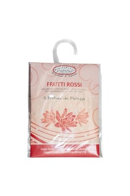 BUSTA PROFUMATA FRUTTI ROSSI HYGIENFRESH 1 BUSTA