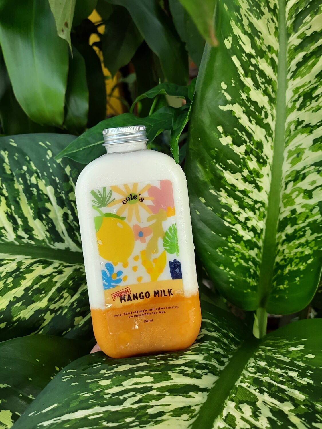 Mango Milk