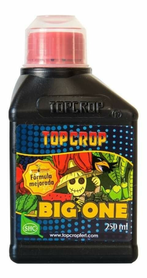 BIG ONE 100 ml