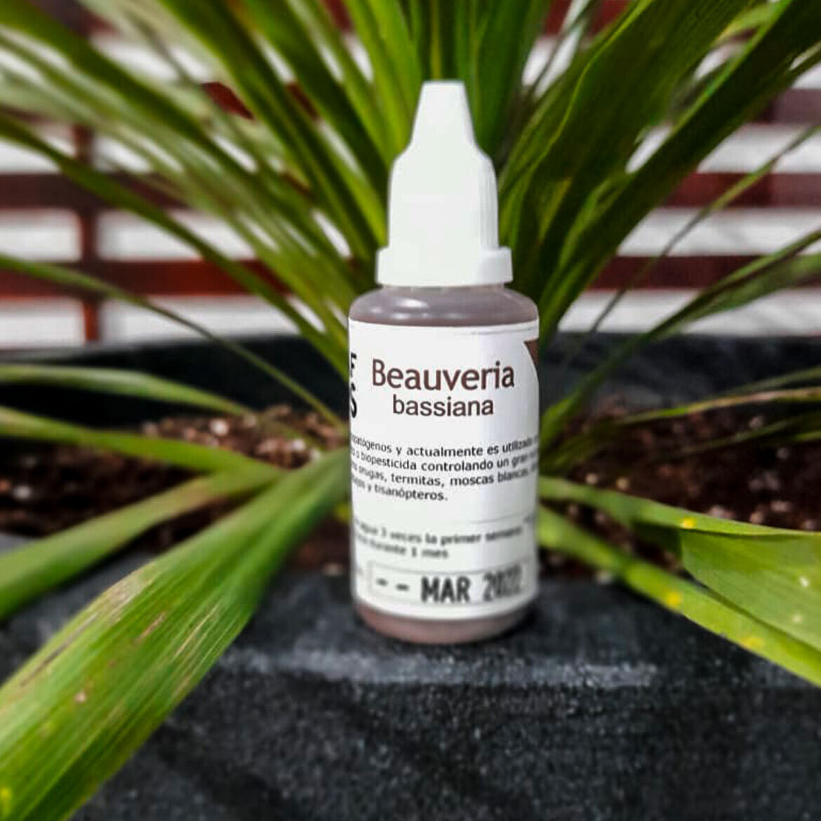 Green Leaf - Bauveria Bassiana 30cc
