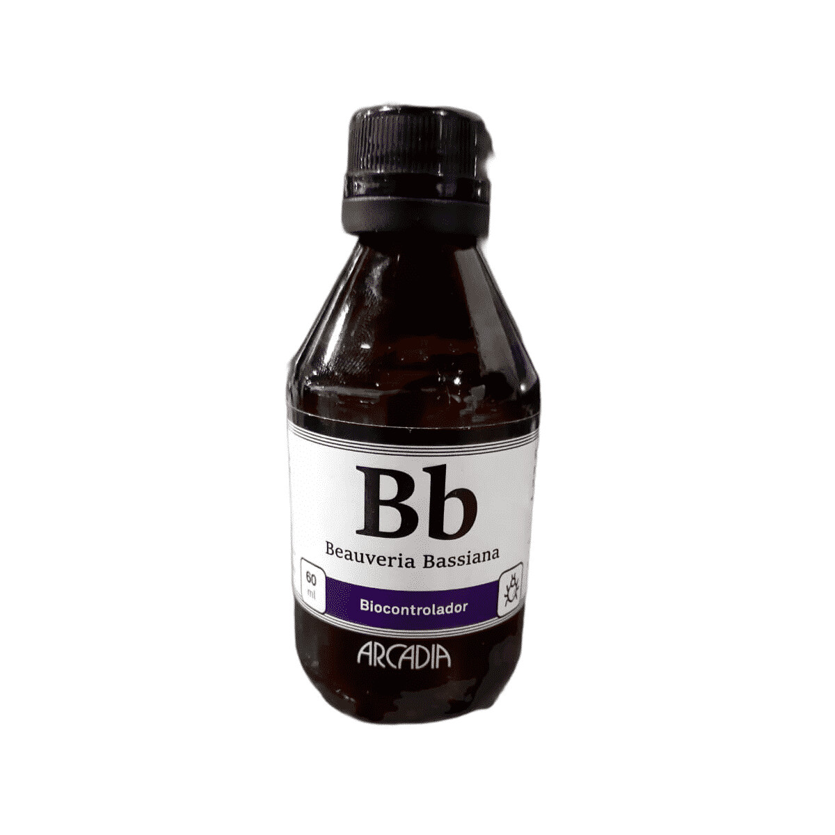 BB(Beauberia Bassiona) 60cc
