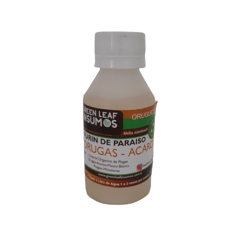 Green Leaf - Purin de Paraiso 100cc