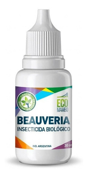 EcoMambo - Bauberia 30ml