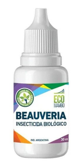 EcoMambo - Bauberia 100ml