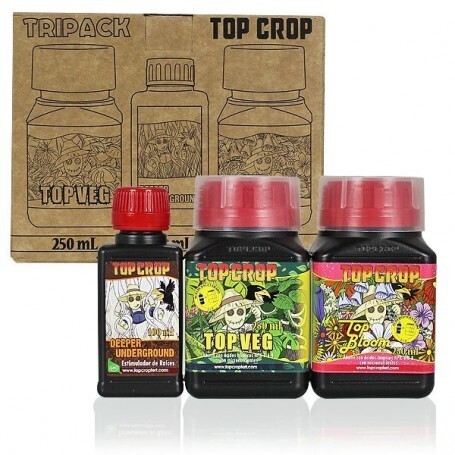 TRIPACK TOP CROP