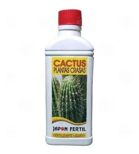 Japón Fertil - Cactus