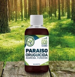EcoMambo - Paraíso 100cm3