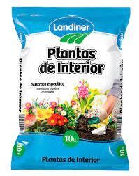 PLANTAS DE INTERIOR LANDINER 5LT
