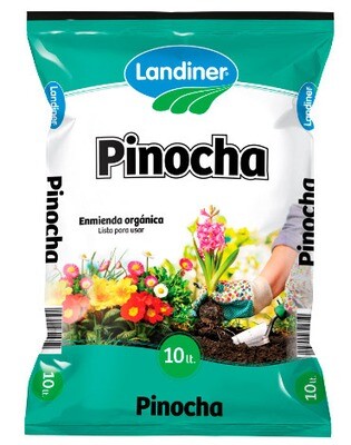 PINOCHA LANDINER 5LT