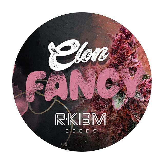 ESQUEJE – FANCY GUMMY THC (VENTA SOLO CON REPROCANN)
