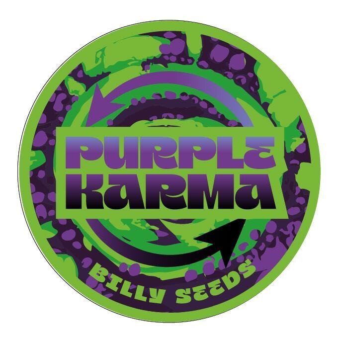 ESQUEJE – PURPLE KARMA THC (VENTA SOLO CON REPROCANN)