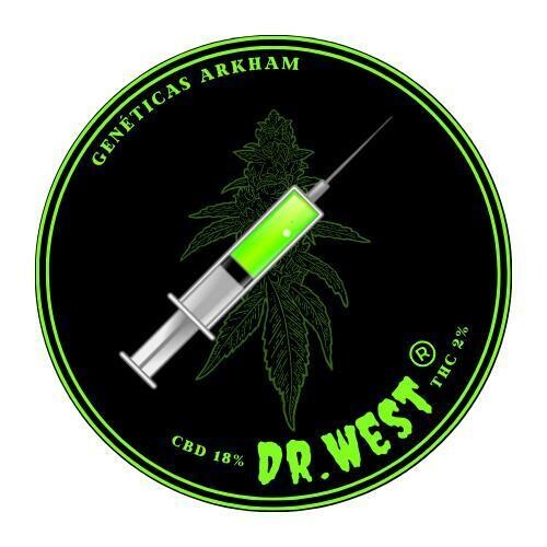 ESQUEJE –  DR. WEST CDB (VENTA SOLO CON REPROCANN)