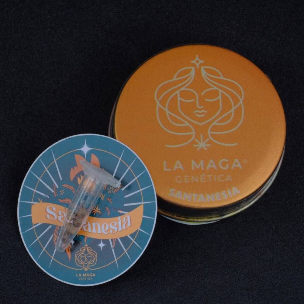 SANTANESIA -  X4+1 (VENTA SOLO CON REPROCANN)