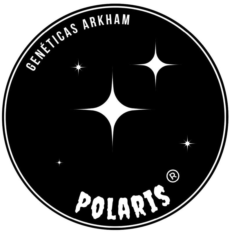 ESQUEJE –  POLARIS THC (VENTA SOLO CON REPROCANN)