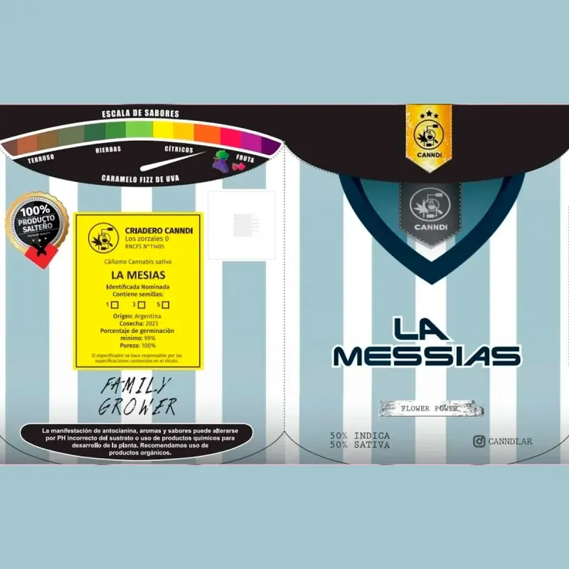 SEMILLA - LA MESSIAS X5 (VENTA SOLO CON REPROCANN)