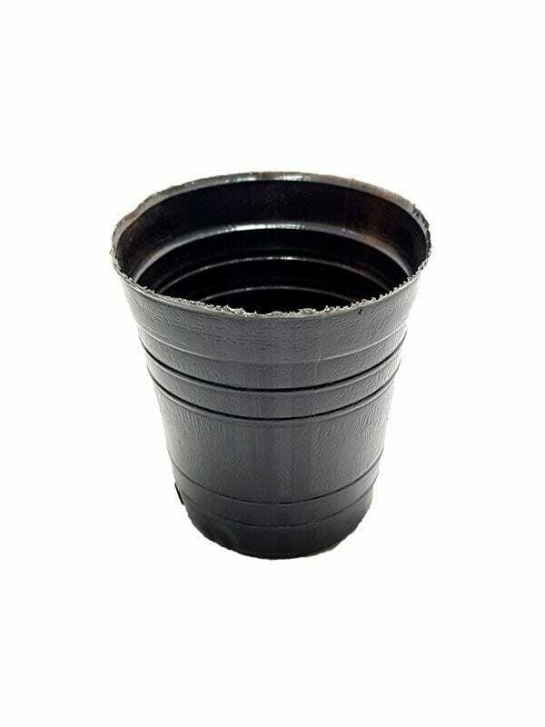 Maceta Soplada 10 Lts Maceta Soplada 10 Lts