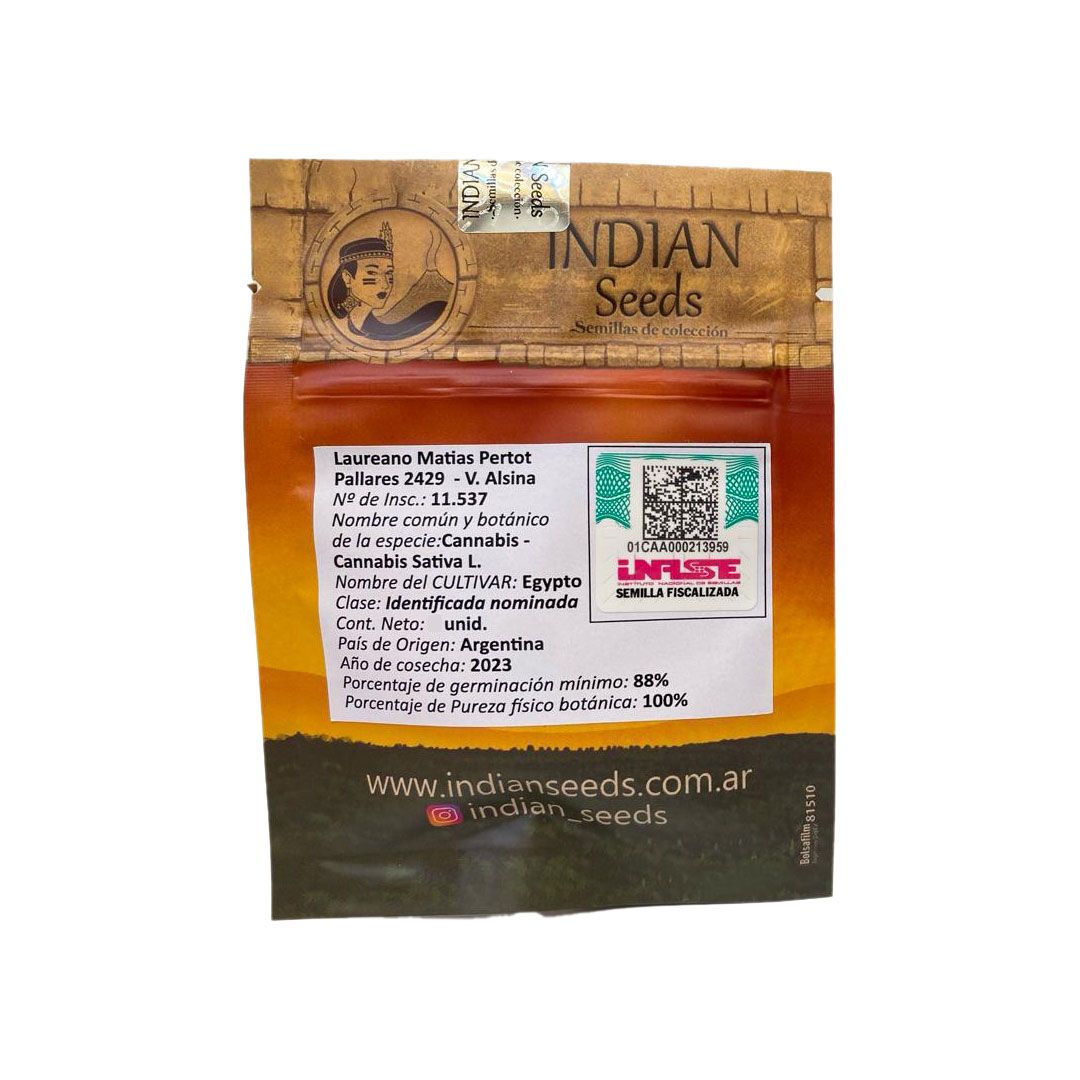 SEMILLA -  EGYPTO THC X3 (VENTA SOLO CON REPROCANN)