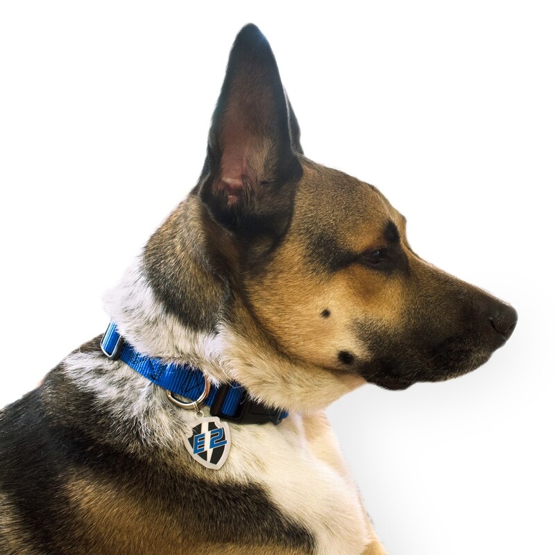 E2 Dog Collar