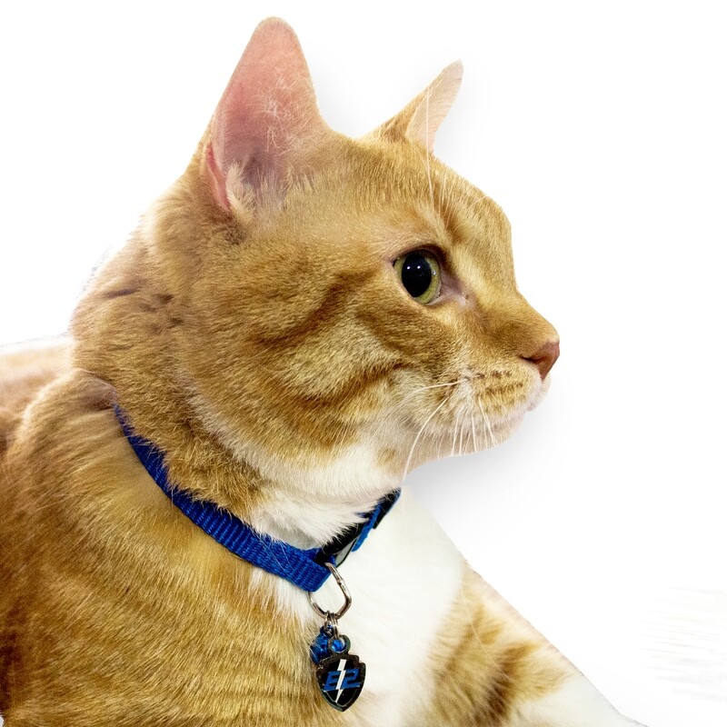 E2 Cat Collar