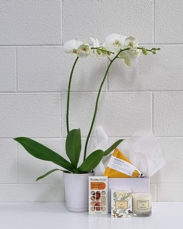 Orchid Gift Box