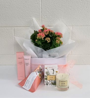 Gift Packages