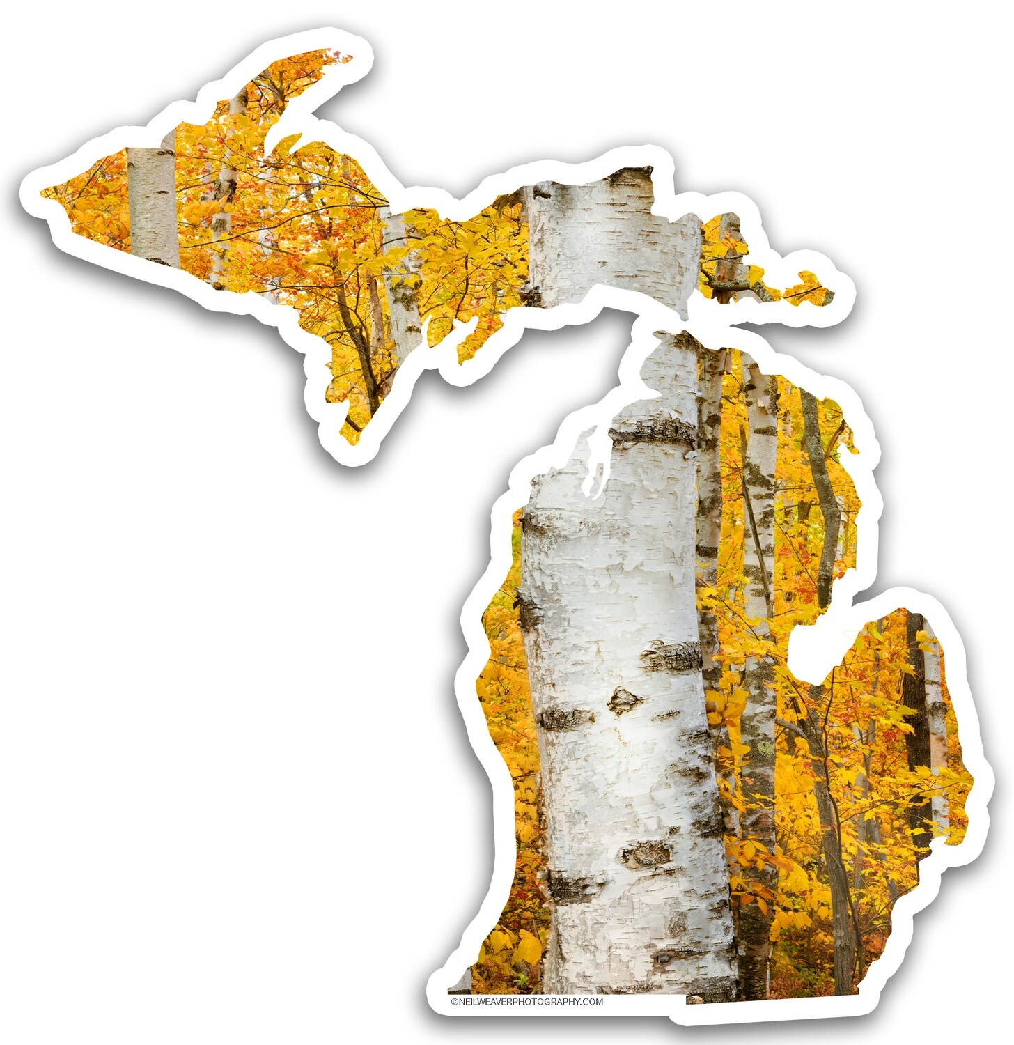 Michigan Sticker - Birch &amp; Fall Color