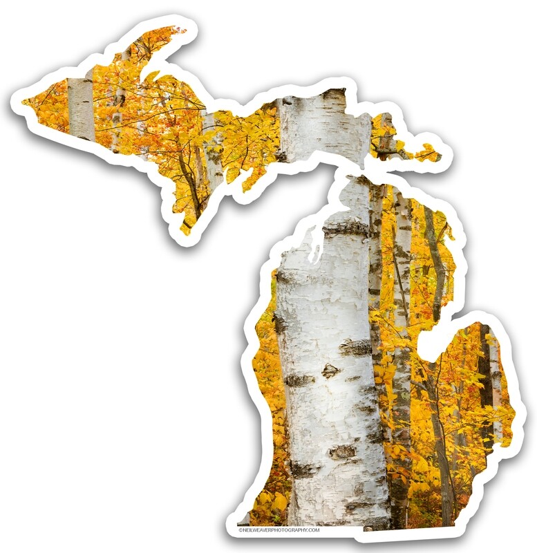 Michigan Sticker - Birch &amp; Fall Color