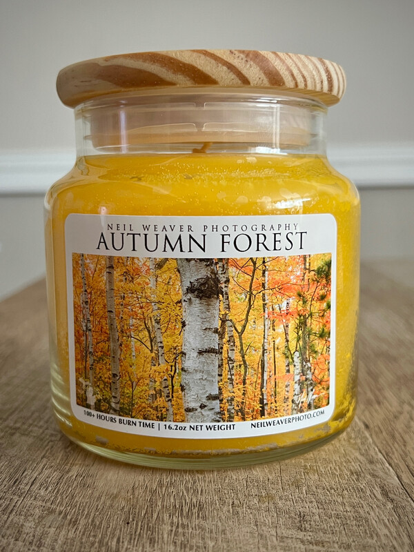 Scented candle - “Autumn Forest”