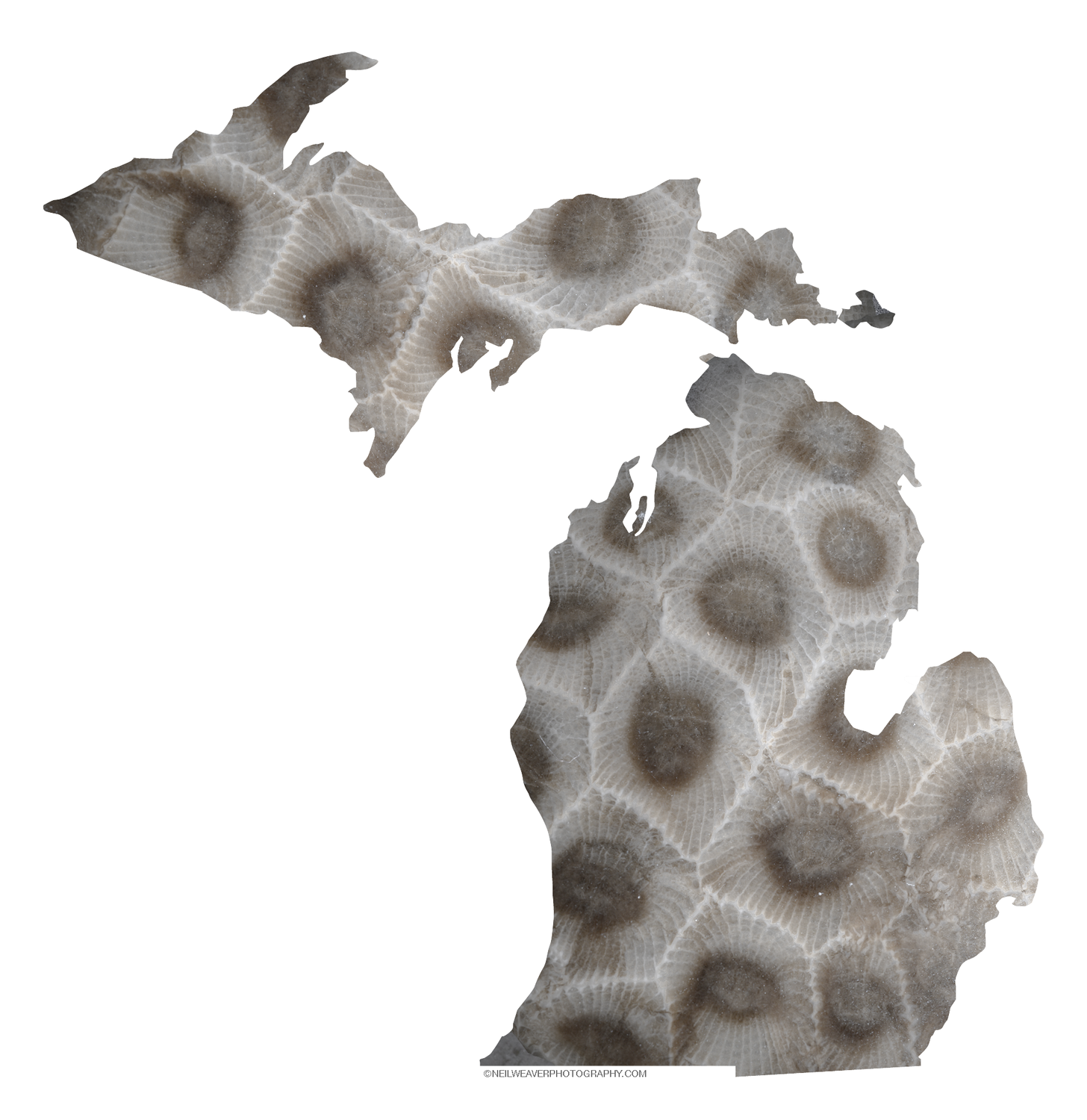 Michigan Sticker - Petoskey Stone